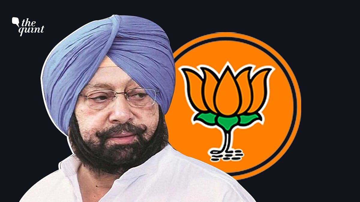 <div class="paragraphs"><p>Captain Amarinder Singh has said that he is open to an alliance with the BJP in Punjab. Image used for representational purposes. </p></div>