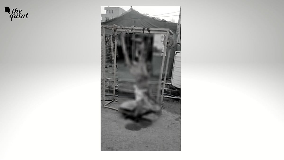 <div class="paragraphs"><p>Three-member Special Investigation Team (SIT) headed by Varinder Kumar, ADGP and Director, Bureau of Investigation, Punjab has been constituted to investigate the Singhu border killing, reported ANI, citing the office of Punjab’s Director General of Police (DGP).</p></div>