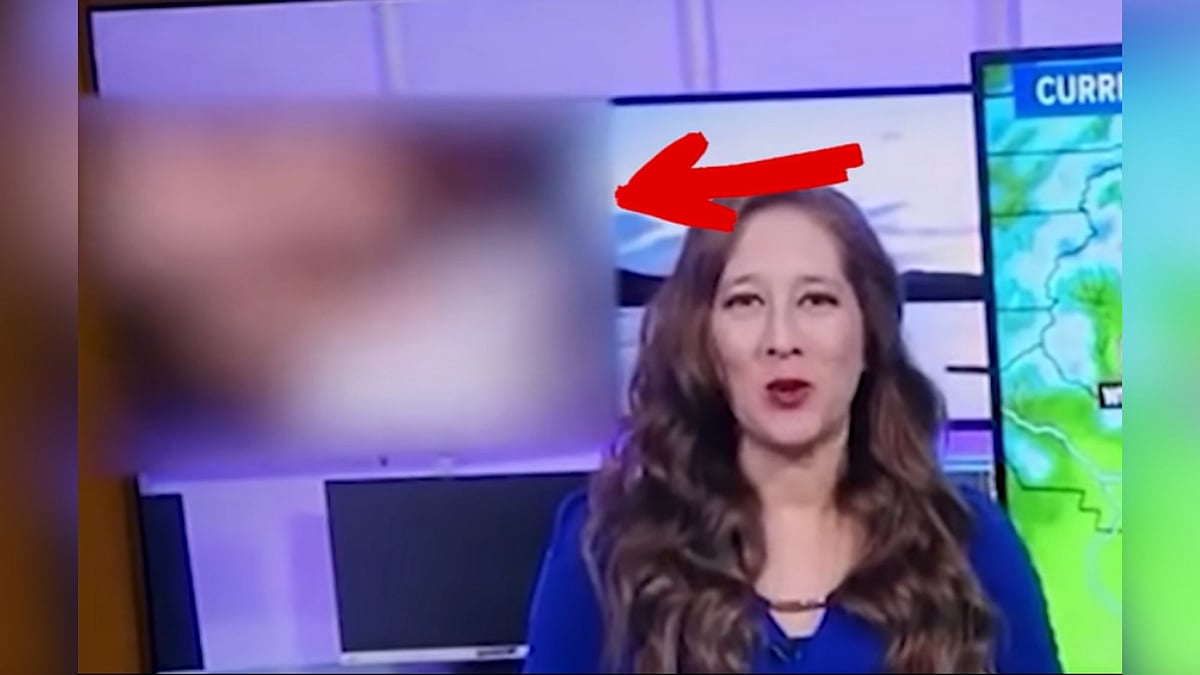 <div class="paragraphs"><p>News Channel Accidently Airs Adult Film Clip During Weather Report</p></div>