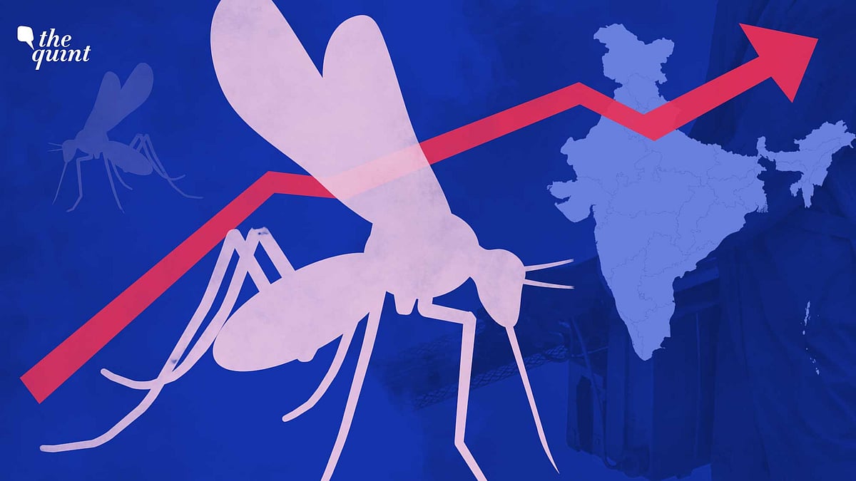 <div class="paragraphs"><p>Delhi Deputy Chief Minister Manish Sisodia on Tuesday, 11 October, ordered all Delhi hospitals to “reserve 10-15 percent beds for patients of vector-borne diseases."</p></div>