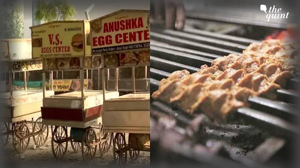 <div class="paragraphs"><p>The decision to ban roadside stalls in Ahmedabad came days after municipal corporations in Gujarat’s Rajkot, Bhavnagar, and Vadodara cities, took similar steps.</p></div>