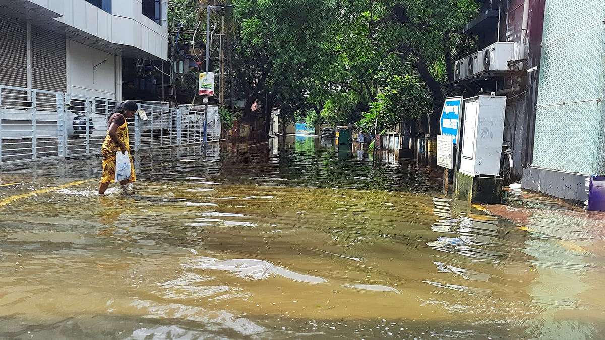 <div class="paragraphs"><p>Two shutters of Mullaperiyar dam and one of Cheruthoni dam in Idukki were opened on Thursday morning.</p></div>