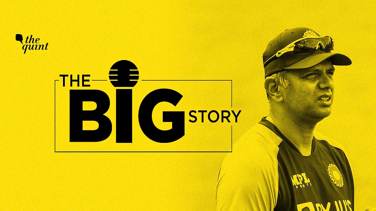 <div class="paragraphs"><p>Podcast on Rahul Dravid Appointment as New Indian Men's Cricket Coach. Image used for representation only.</p></div>
