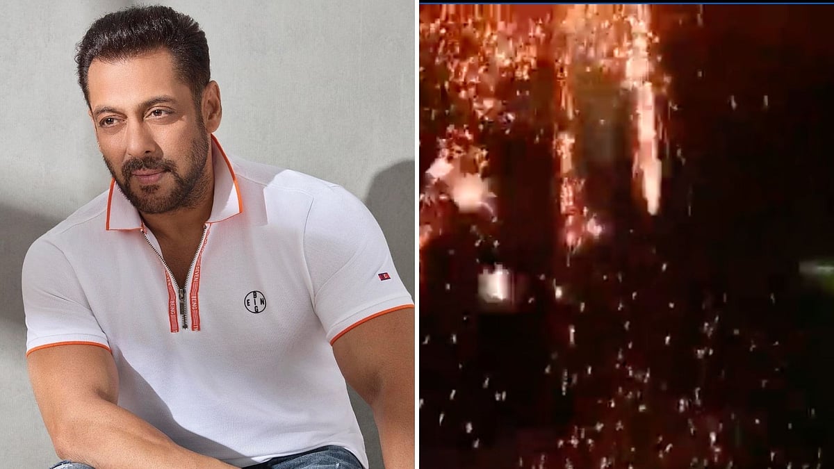 <div class="paragraphs"><p>Salman Khan asks fans not to burst crackers inside a cinema hall.</p></div>
