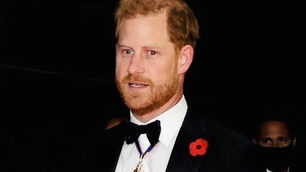 <div class="paragraphs"><p>Prince Harry, Duke of Sussex. </p></div>