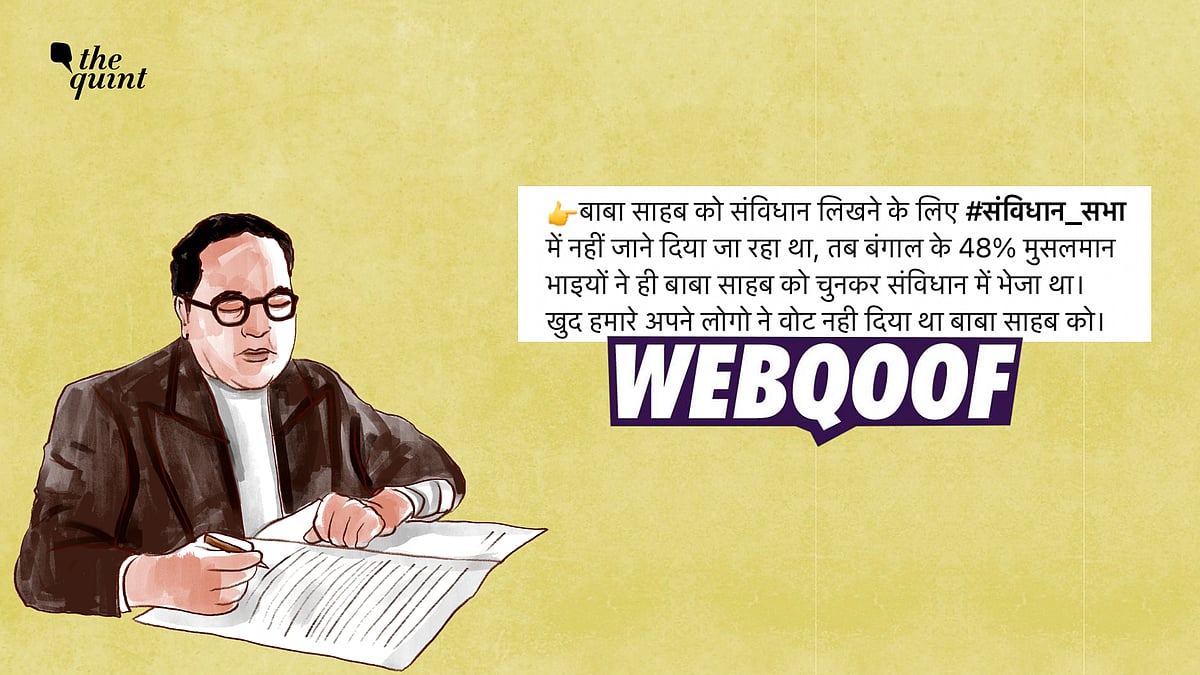 <div class="paragraphs"><p>The place where Dr Ambedkar contested from has been a topic of debate.</p></div>