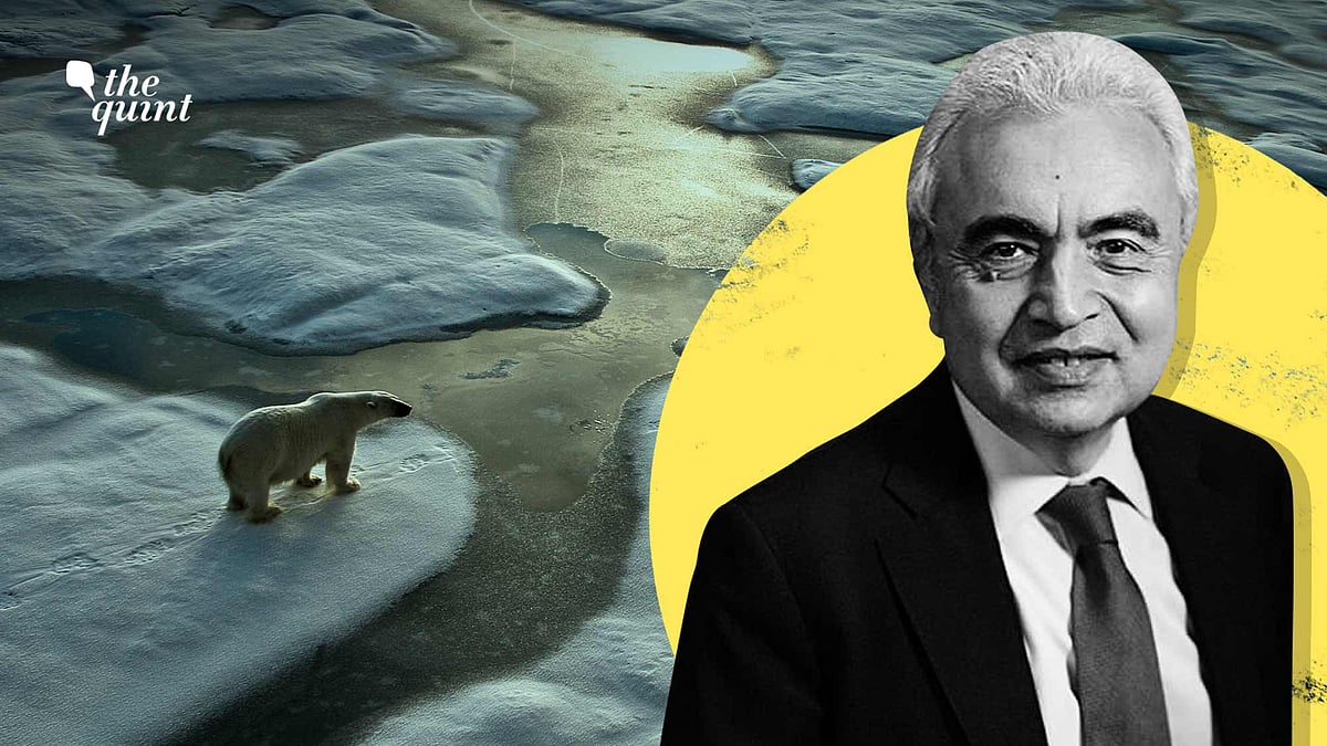 <div class="paragraphs"><p>Dr Fatih Birol, Executive Director of the International Energy Agency.</p></div>