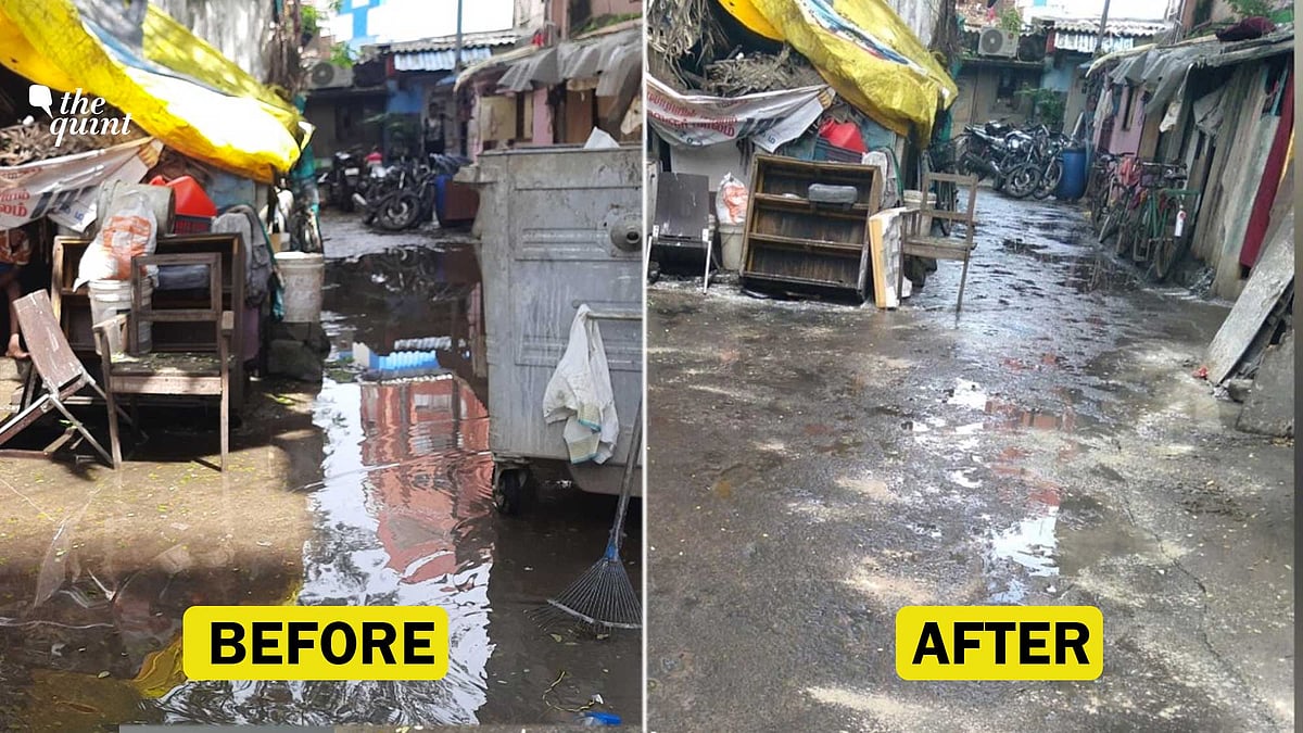 <div class="paragraphs"><p>After The Quint published a report on a slum in Chennai, the Corporation cleared the stagnated water and debris. </p></div>