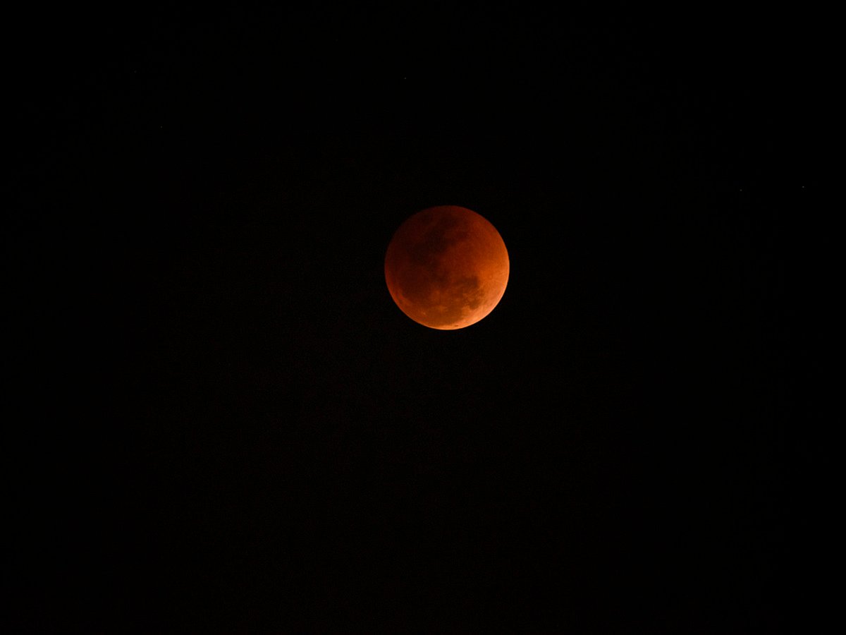 <div class="paragraphs"><p>Check solar and Lunar eclipse date and time for October 2023</p></div>