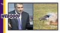 more-news-img