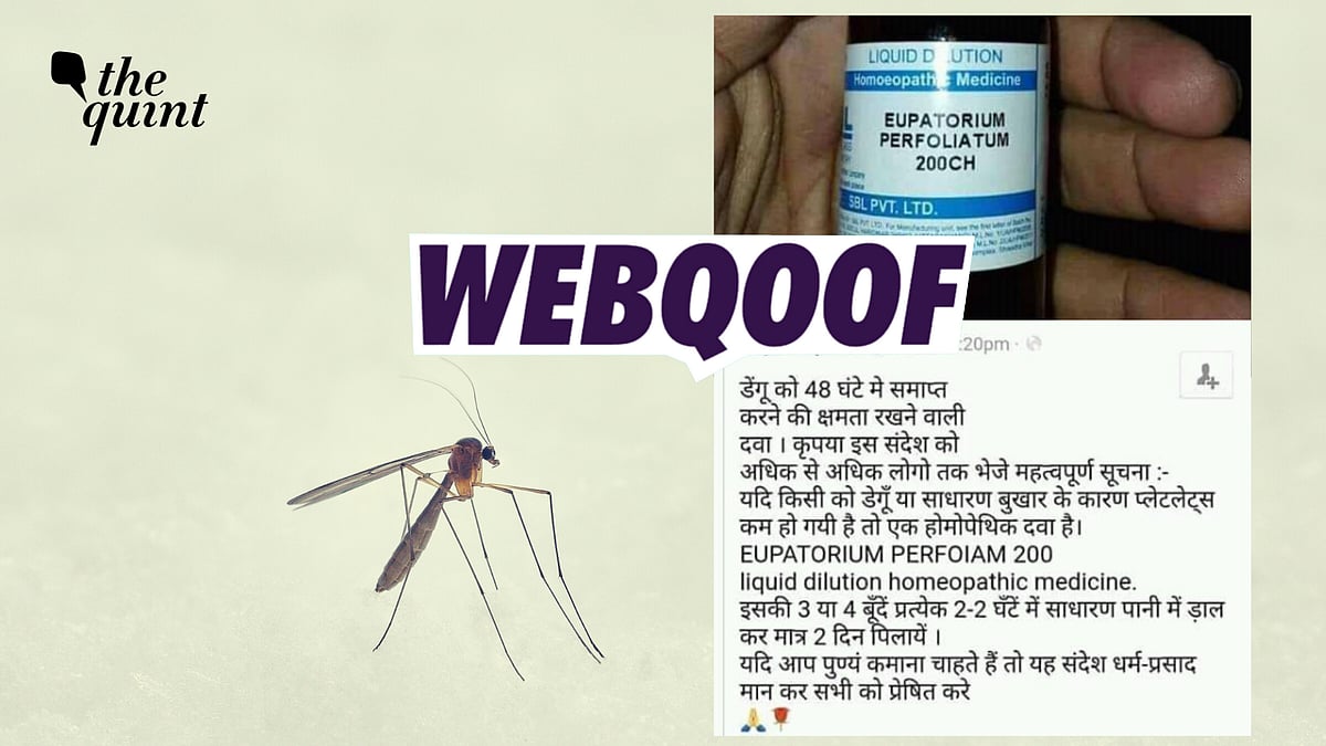 <div class="paragraphs"><p>Fact-Check | The claim that Eupatorium Perfoliatum 200 CH can sure dengue in just two days is false.</p></div>