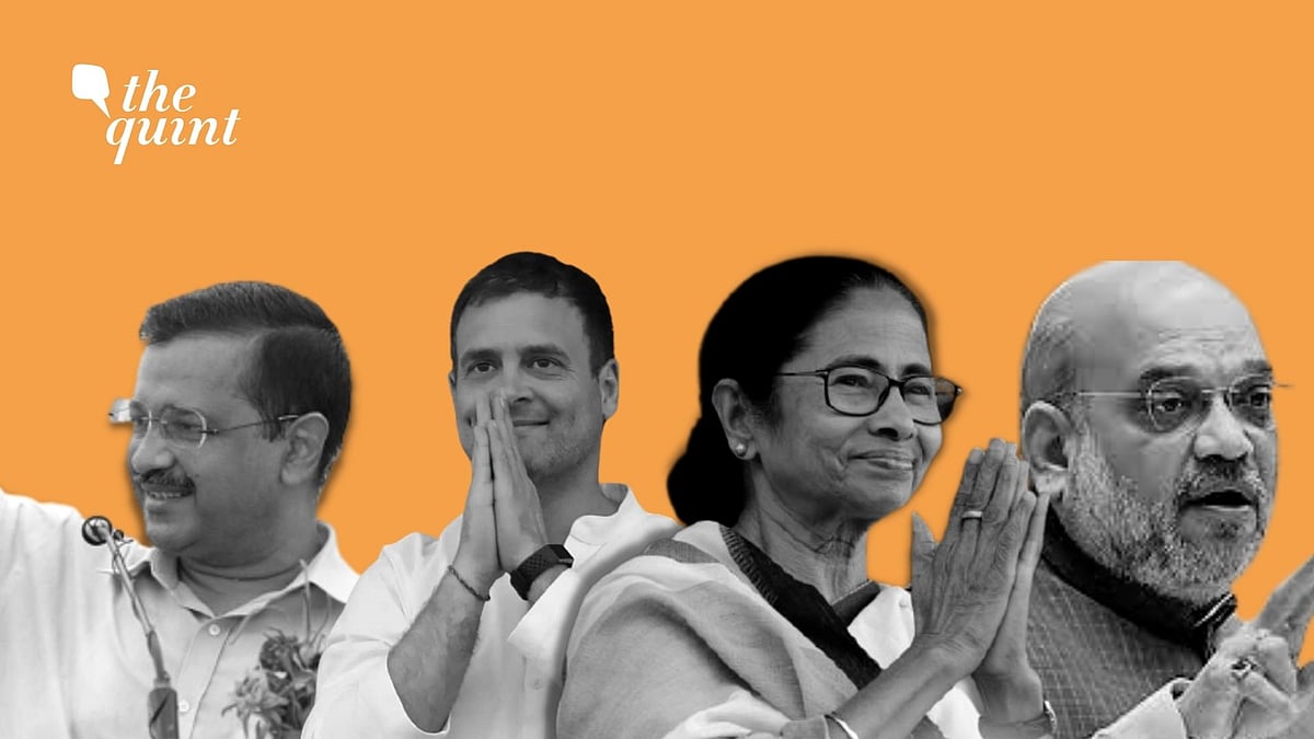 <div class="paragraphs"><p>Goa is all set to witness an election battle in 2022 with at least eight national and regional parties in the fray. Image used for representation.</p></div>