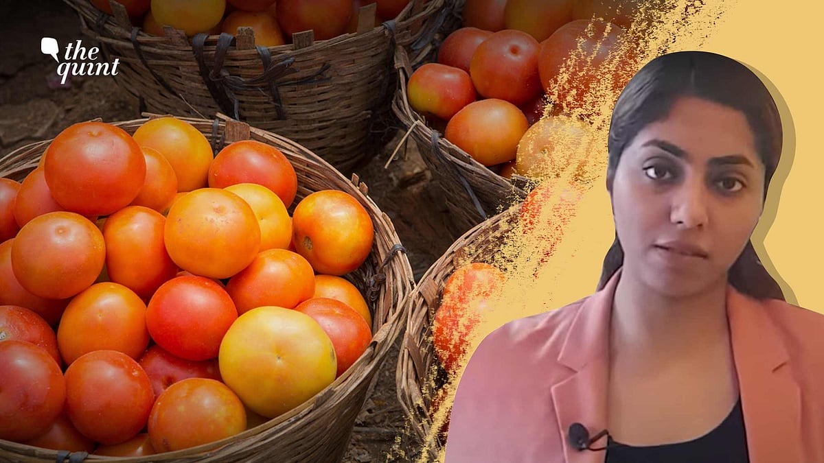 <div class="paragraphs"><p>Kitchens in South India are feeling the pinch as tomatoes now costs more than Rs 100 per kg in most cities.</p></div>