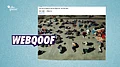 more-news-img