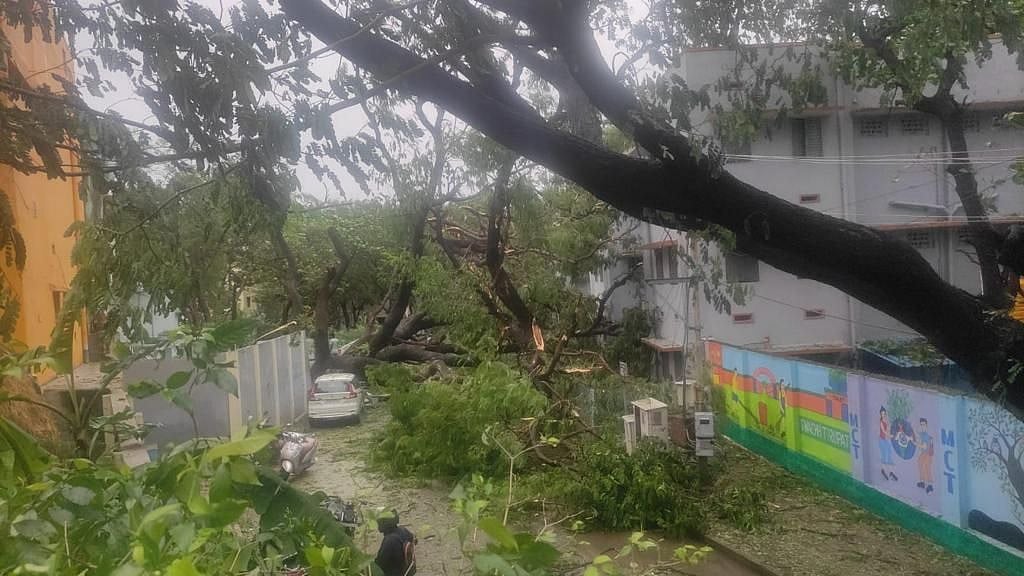 <div class="paragraphs"><p>Normal life in Andhra Pradesh has been disrupted as heavy rainfall battered several parts of the state with Chittoor district witnessing heavy showers since Thursday, 11 November.</p></div>