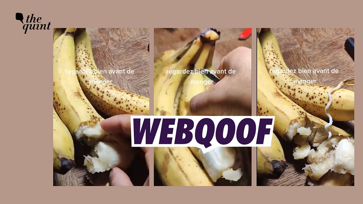<div class="paragraphs"><p>The claim that India imported 'poisonous' bananas from Somalia was false.&nbsp;</p></div>