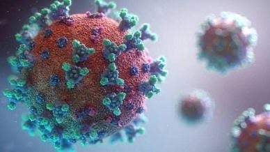 <div class="paragraphs"><p>As many as 27 school students of a private school in Dharapauram in Tamil Nadu s' Tiruppur district have tested COVID-19 positive, the Tamil Nadu Health Department said on Thursday. </p></div>