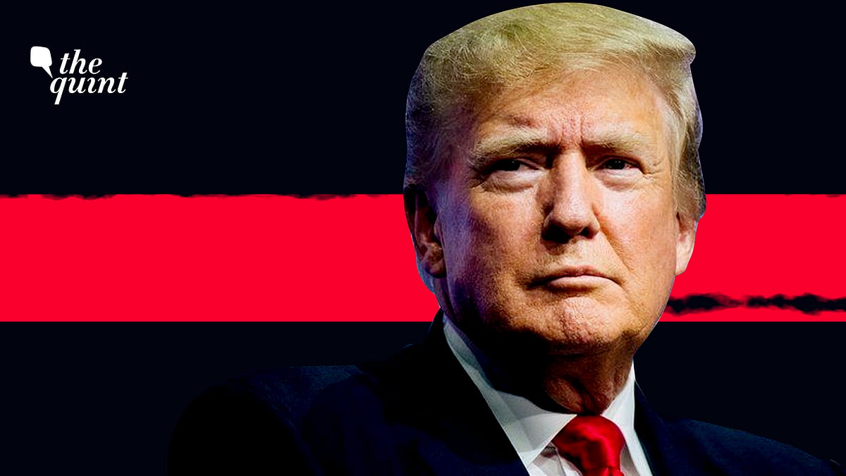 <div class="paragraphs"><p>Former US President Donald Trump </p></div>