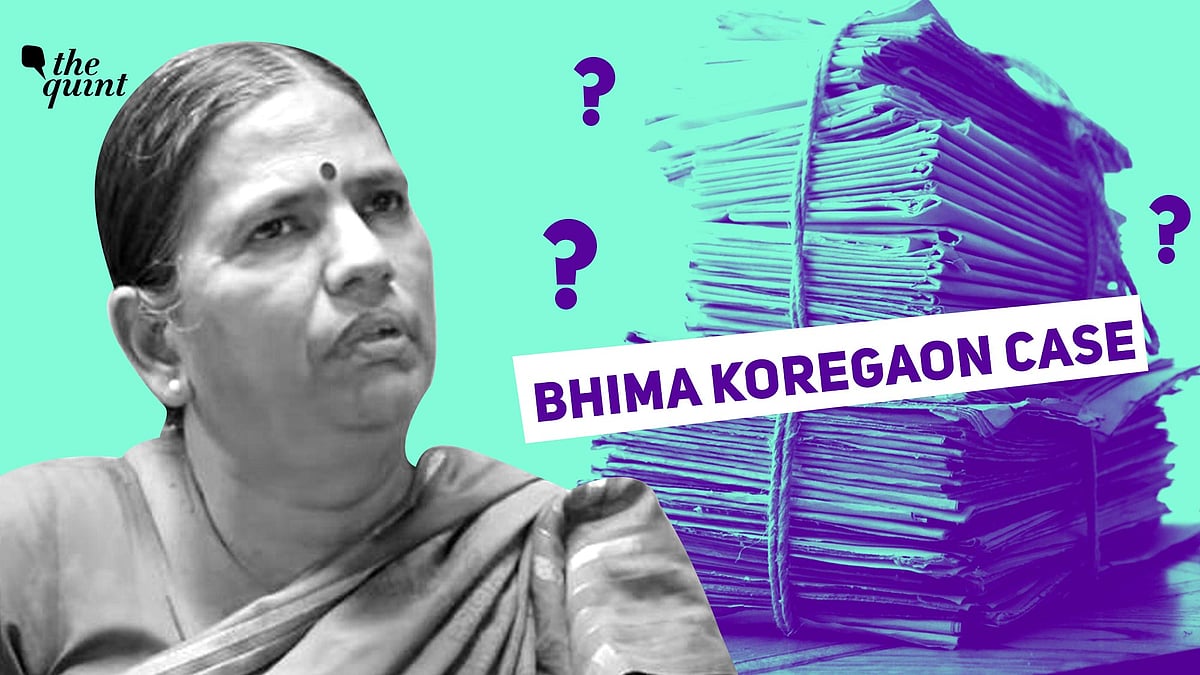 <div class="paragraphs"><p>Sudha Bharadwaj's bail plea was accepted by the Bombay High Court.</p></div>