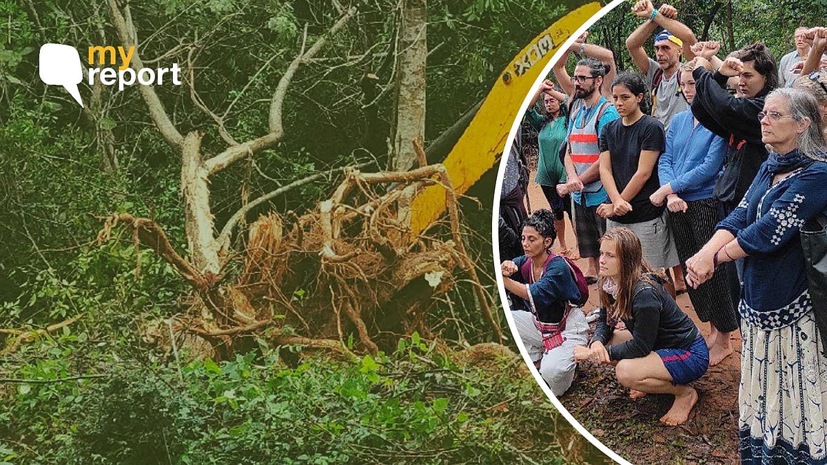 <div class="paragraphs"><p>Residents of Auroville are protesting against the uprooting of trees for Crown Project.</p></div>