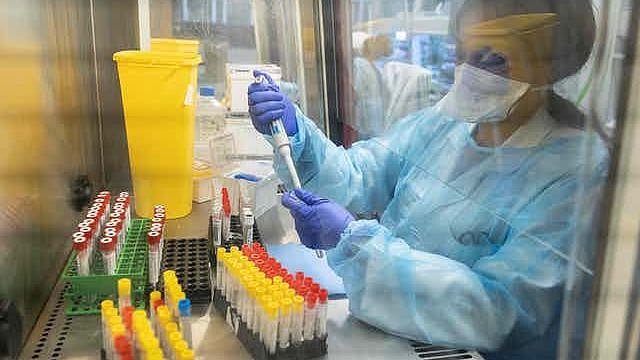 <div class="paragraphs"><p>A researcher works with COVID-19 samples from patients. Image used for representation.</p></div>
