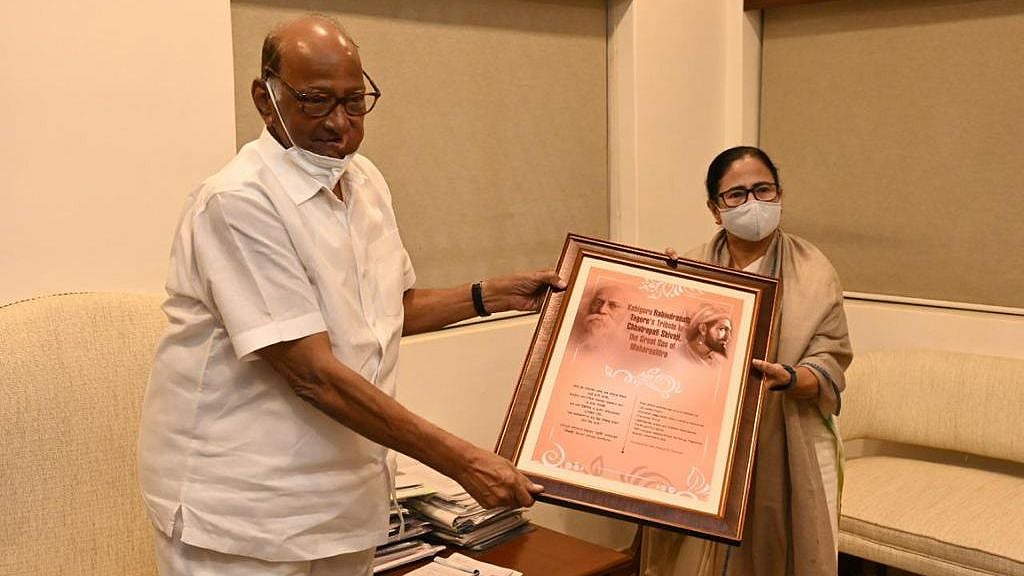<div class="paragraphs"><p>NCP chief Sharad Pawar with West Bengal CM Mamata Banerjee. </p></div>