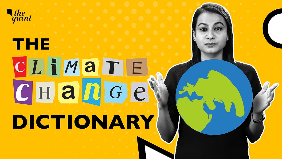 <div class="paragraphs"><p>‘The Climate Change Dictionary’ is all about the buzzwords of climate change, and carbon colonialism is the new term in town.</p></div>