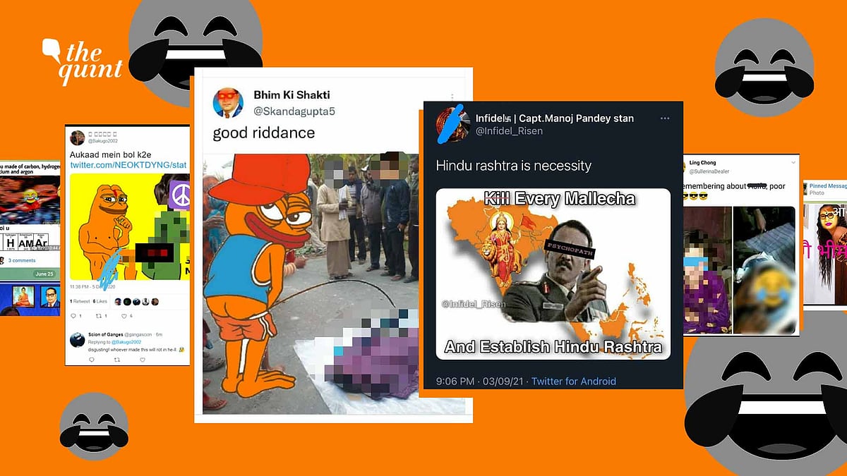 <div class="paragraphs"><p>Hate, rape and genocide threats figure as 'humour' on Trad groups.</p></div>