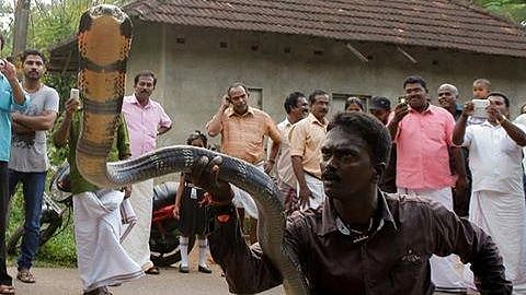 <div class="paragraphs"><p>Snake-catcher Vava Suresh.</p></div>