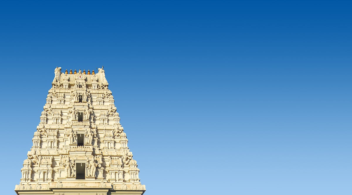<div class="paragraphs"><p>Book TTD special darshan ticket online on&nbsp;tirupatibalaji.ap.gov.in</p></div>