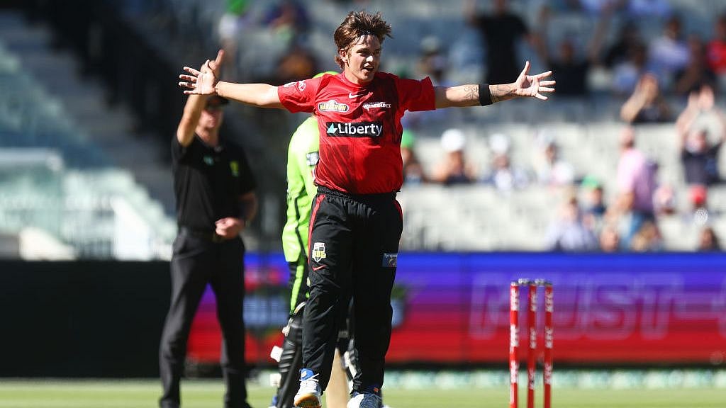 <div class="paragraphs"><p>Cameron Boyce celebrates a wicket </p></div>