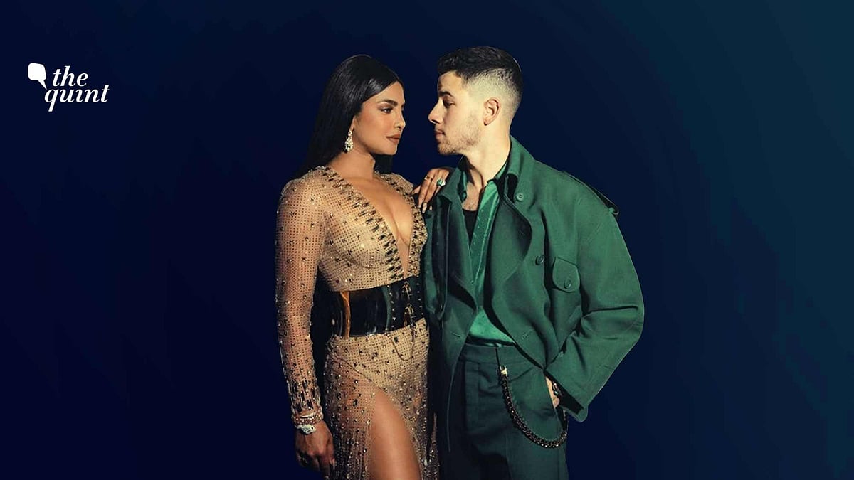 <div class="paragraphs"><p>Many on social media criticised, condemned, and ridiculed Priyanka Chopra's choice of surrogacy – which they saw as a 'frivolous' decision. Image used for representational purposes.</p></div>