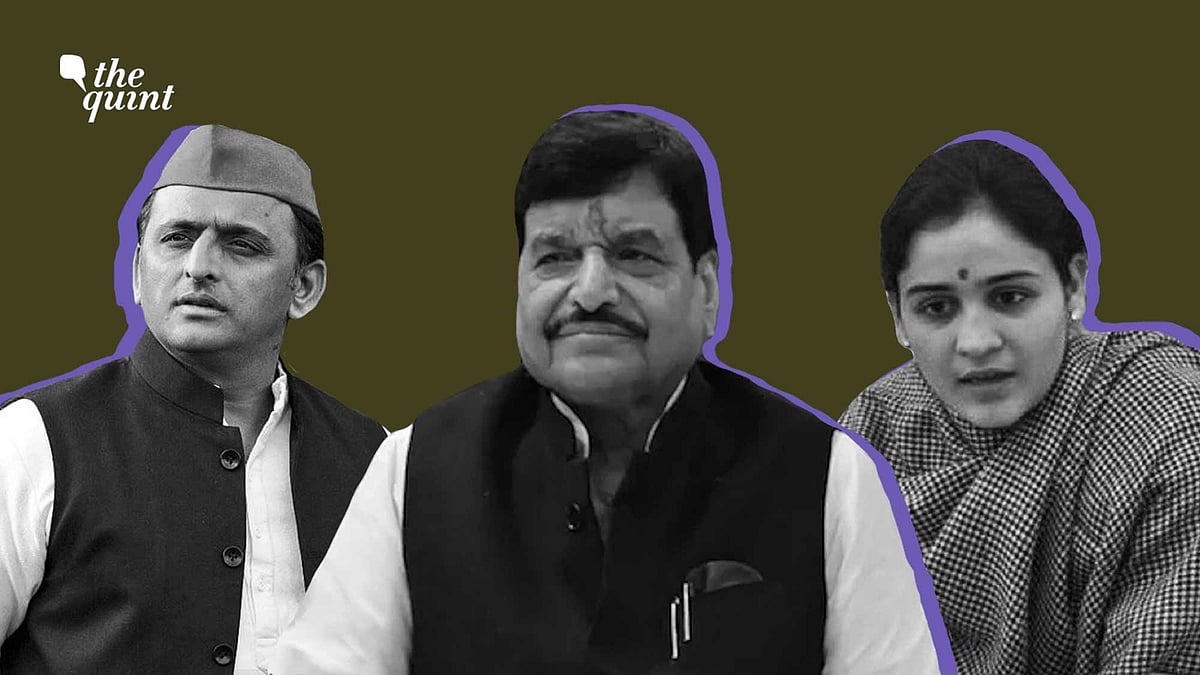 <div class="paragraphs"><p>"Standing together as one family" was the message that SP chief Akhilesh Yadav wanted to send when he managed to get his uncle Shivpal Yadav back into the 'Mulayam' fold. But Aparna's defection has set tongues wagging again.</p></div>