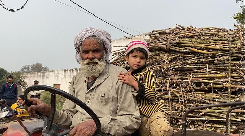 <div class="paragraphs"><p>A farmer in Muzaffarnagar carrying his sugarcane produce.</p></div>