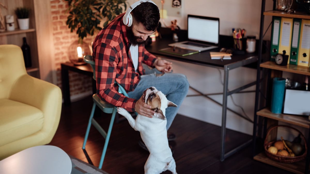 <div class="paragraphs"><p>Working from home</p></div>