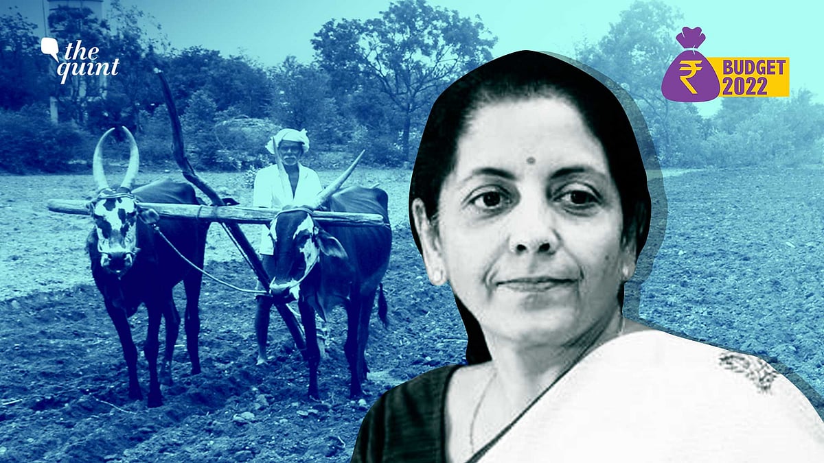 <div class="paragraphs"><p>Agriculture Budget 2022.</p></div>