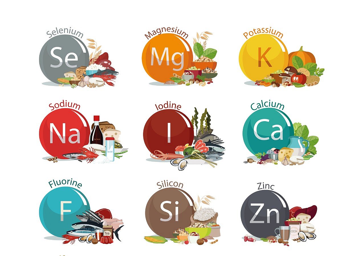 <div class="paragraphs"><p>Here is a list of the important minerals required by the body.</p></div>