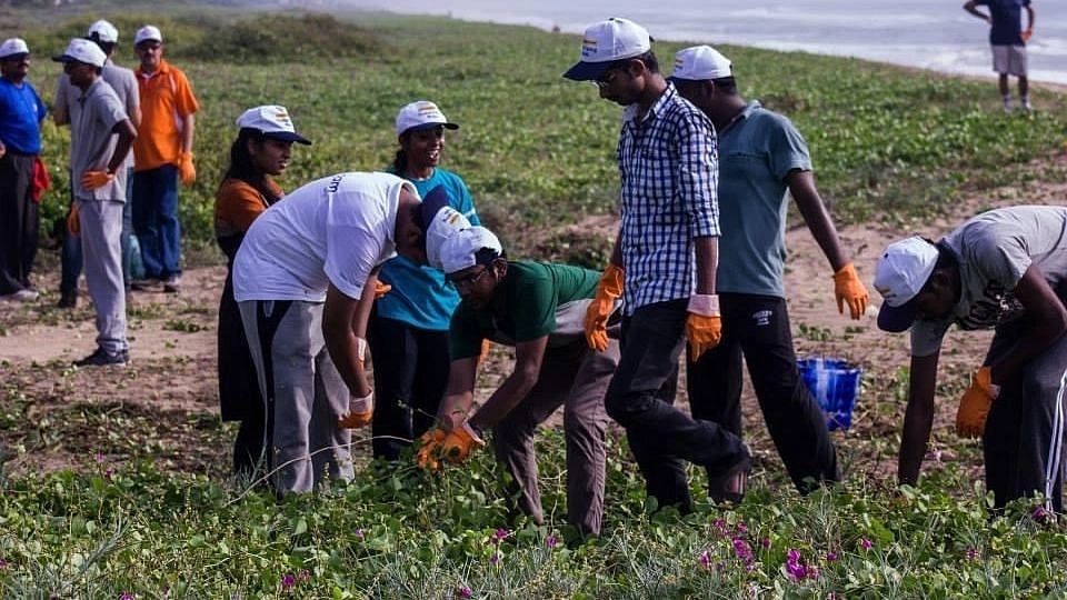 <div class="paragraphs"><p>File photo of EFI volunteers engaged in a beach clean up</p></div>
