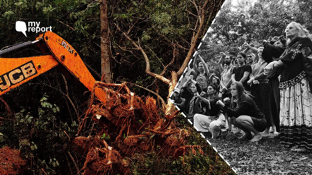 <div class="paragraphs"><p>In December 2021, Aurovillians protested against uprooting of trees for the construction of a crown road.</p></div>