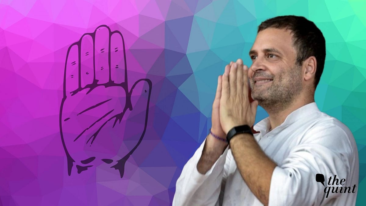 <div class="paragraphs"><p>Congress leader Rahul Gandhi</p></div>