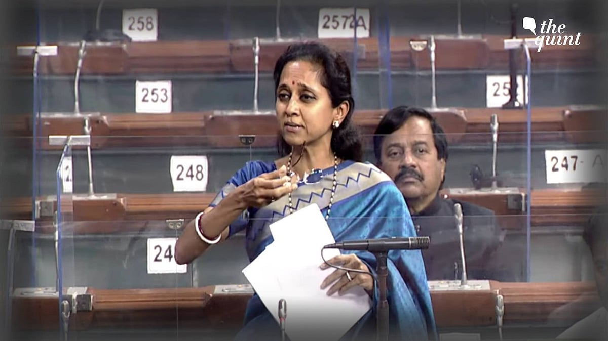 <div class="paragraphs"><p>(Photo: Lok Sabha)</p></div>