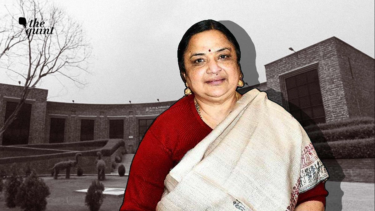 <div class="paragraphs"><p>JNU's new Vice-Chancellor Santishree Dhulipudi Pandit. </p></div>