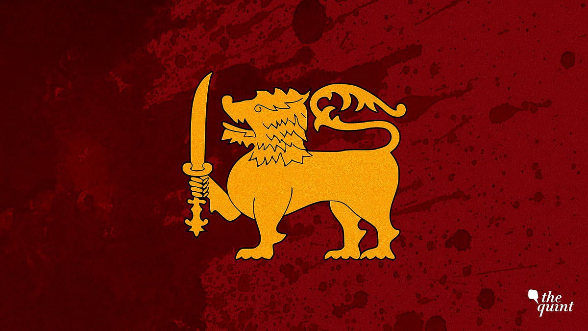 <div class="paragraphs"><p>Sri Lanka returned the last batch of hazardous waste imported from Britain in the name of 'used carpets, mattresses' (Image used for representation).</p></div>