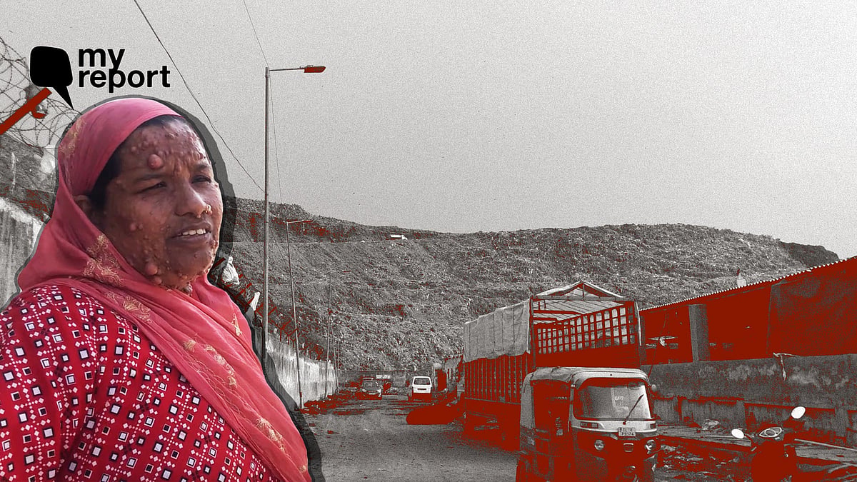 <div class="paragraphs"><p>Ghazipur and Bhalswa are two of the biggest garbage dumpsites in Delhi.</p></div>
