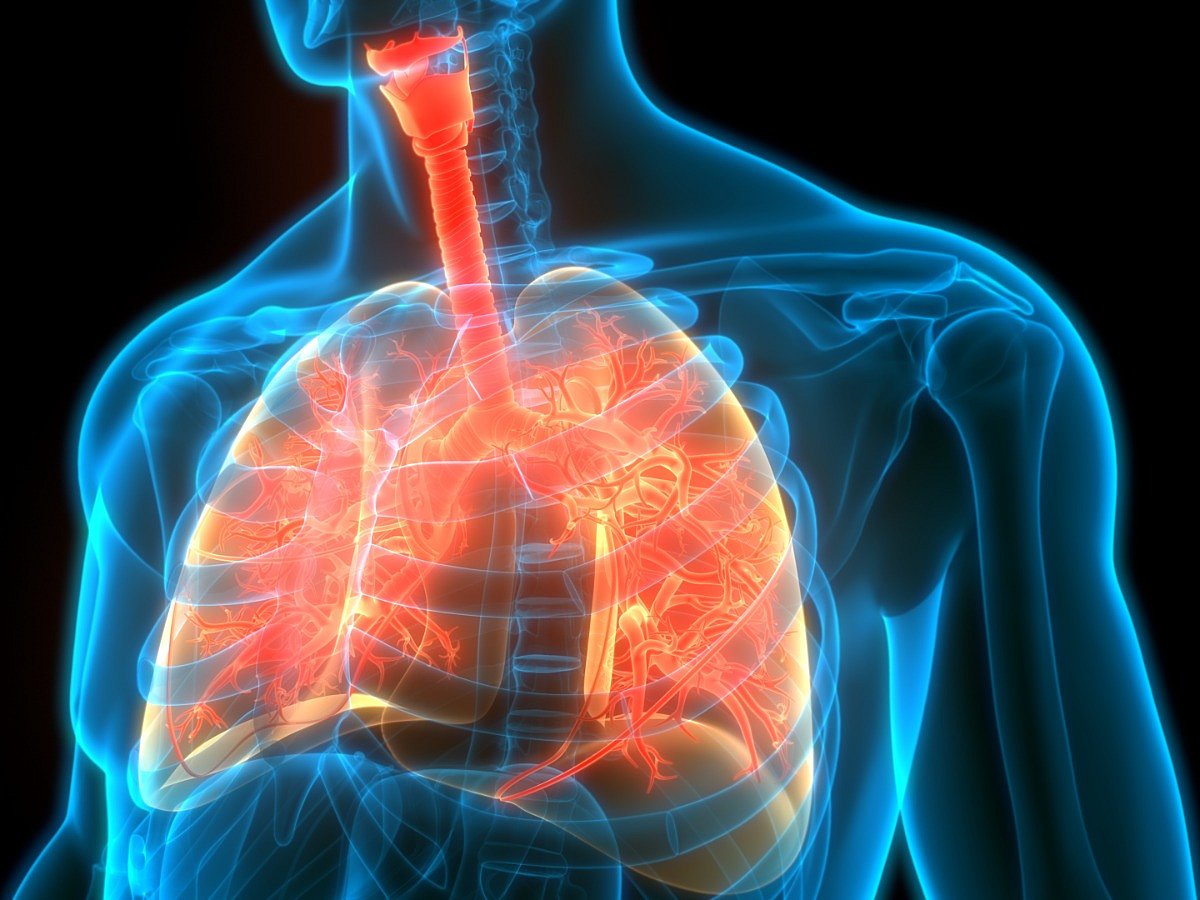 <div class="paragraphs"><p>Know about the causes, symptoms, diagnosis, and treatment of cystic fibrosis.</p></div>