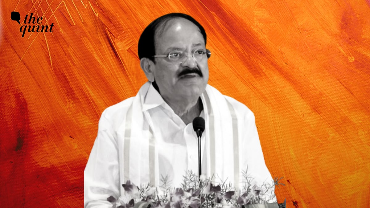 <div class="paragraphs"><p>Asking for the rejection of the Macaulay system of education in the 75th year of India’s Independence, Naidu said that the system imposed a foreign language as the medium of education in the country and confined education to the elite. Image used for representative purposes. </p></div>