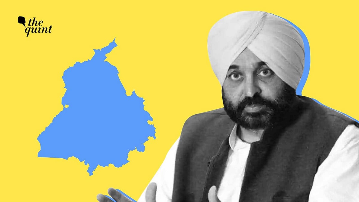<div class="paragraphs"><p>Aam Aadmi Party leader Bhagwant Mann.</p></div>