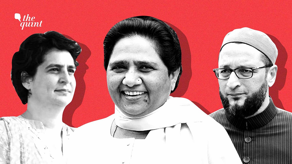 <div class="paragraphs"><p>The BSP cut into SP's votes on the highest number of seats, followed by AIMIM and Congress. </p></div>