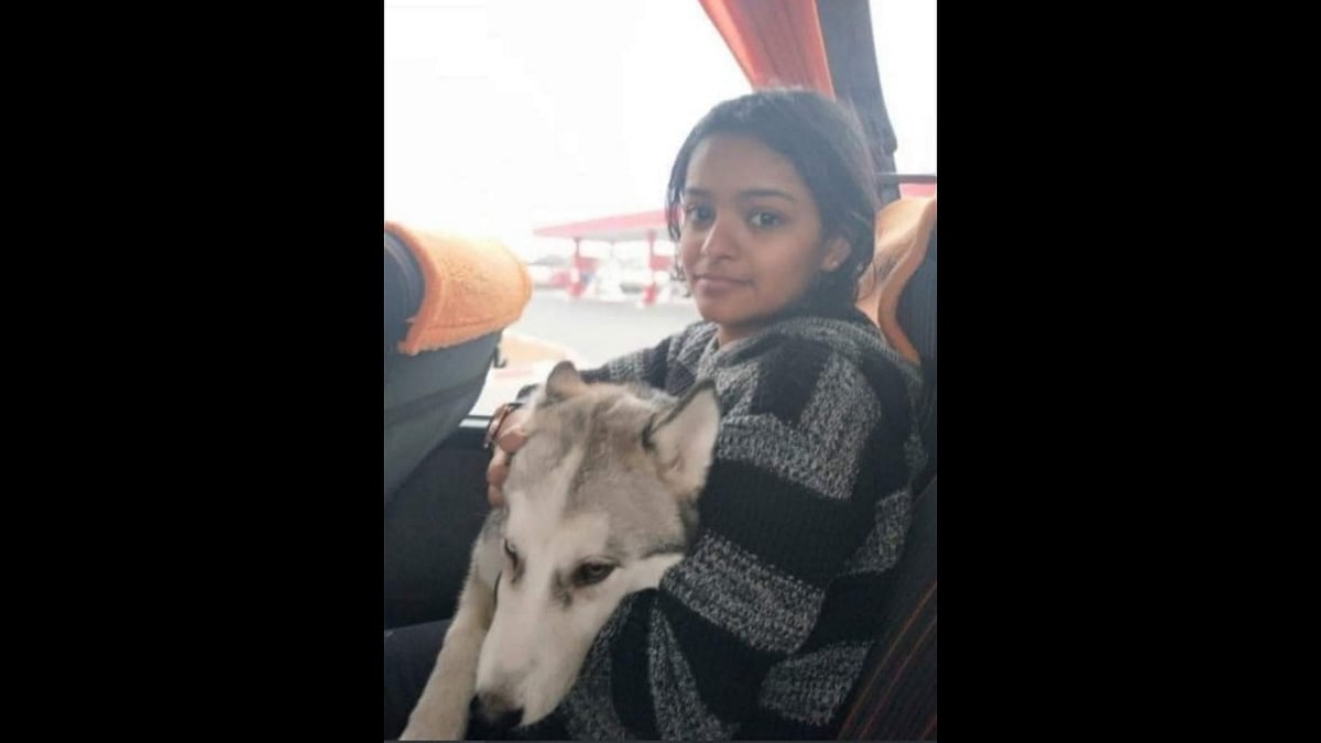 <div class="paragraphs"><p>Several Indian students who returned from Ukraine have brought back their pet dogs and cats along, refusing to leave them behind in the tumult of the ongoing war.</p></div>