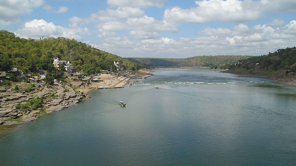 <div class="paragraphs"><p>The natural flow of the river has also been affected due to rampant sand mining and the construction of big dams. Overexploitation of river water, chemical farming are also some causes of depletion of groundwater in the Narmada river basin.</p></div>